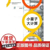 [正版书籍]小量子大计算