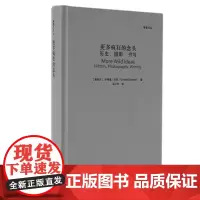 [正版书籍]更多疯狂的念头:历史、摄影、书写(影像文丛系列)