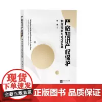 严格知识产权保护——制度探索与地区实践