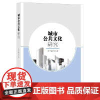 [正版书籍]城市公共文化研究