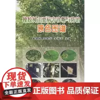 [正版书籍]橡胶树主要病害诊断与防治原色图谱