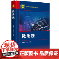 [正版书籍]微系统