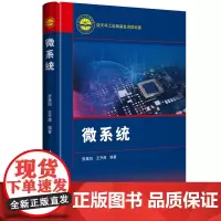 [正版书籍]微系统
