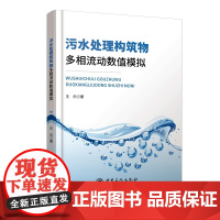 污水处理构筑物多相流动数值模拟