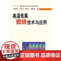 [正版书籍]高温低氧燃烧技术与应用