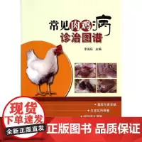 常见肉鸡病诊治图谱