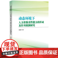 [正版书籍]动态环境下人力资源柔性能力的形成及作用机制研究