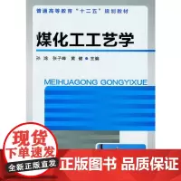 [正版书籍]煤化工工艺学(孙鸿)