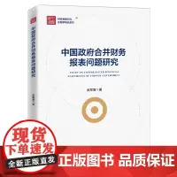 中国政府合并财务报表问题研究