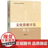 [正版书籍]文化资源开发概论