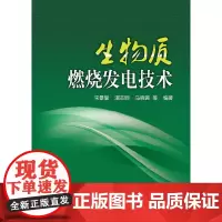 [正版书籍]生物质燃烧发电技术