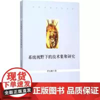 [正版书籍]系统视野下的技术集聚研究