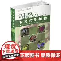 [正版书籍]中国药用植物(二十六)