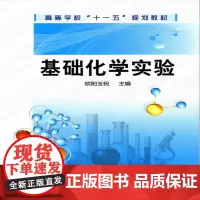 [正版书籍]基础化学实验(欧阳玉祝)