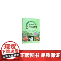 我们身边的药用植物