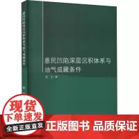 惠民凹陷深层沉积体系与油气成藏条件 张宇 著 其它科学技术专业科技 正版图书籍 中国石油大学出版社