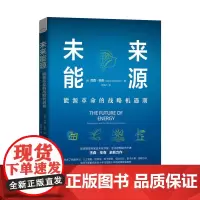 [正版书籍]未来能源 : 能源革命的战略机遇期