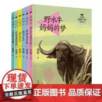 [正版书籍]袁博动物小说美绘本(套装6册)