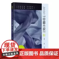 [正版书籍]2020中国中篇小说年选