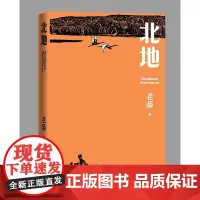 [正版书籍]北地