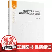 [正版书籍]政府投资激励政策的效应评估与优化路径研究