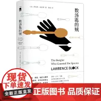 数汤匙的贼