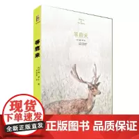 [正版书籍]等鹿来
