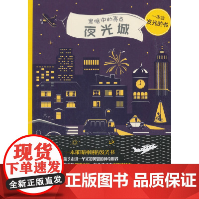 [正版书籍]夜光城