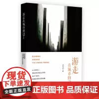 [正版书籍]游走在城市的边上