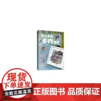 花礼中的多肉组合