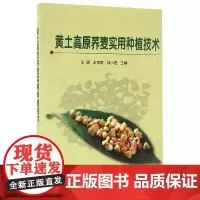 [正版书籍]黄土高原荞麦实用种植技术