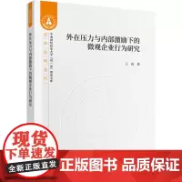 [正版书籍]外在压力与内部激励下的微观企业行为研究