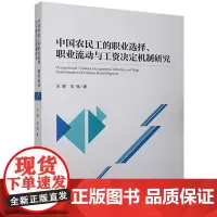 [正版书籍]中国农民工的职业选择、职业流动与工资决定机制研究