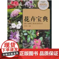 [正版书籍]花卉宝典