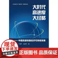 [正版书籍]大时代-高速度-大经略