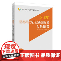 [正版书籍]能源与电力分析年度报告系列 2020 世界电力行业跨国投资分析报告