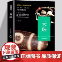 天珠书籍 正版软精装 天珠收藏与鉴赏 文化珍藏图鉴大系艺术 鉴赏收藏 天珠石头 金刚菩提天珠净化文玩鉴定西藏九眼天珠古玩