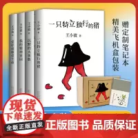 王小波杂文套装共4册 一只特立独行的猪+沉默的大多数+爱你就像爱生命+我的精神家园全套共4册中国现当代文学散文随笔书排行