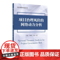 [正版书籍]项目治理风险的网络动力分析