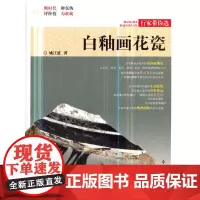 [正版书籍]白釉画花瓷/行家带你选