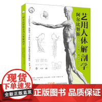 [正版书籍]阿尔比努斯艺用人体解剖学