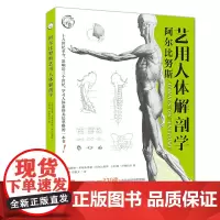 [正版书籍]阿尔比努斯艺用人体解剖学