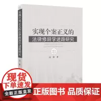 [正版书籍]实现个案正义的法律修辞学进路研究
