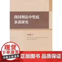 [正版书籍]我国刑法中兜底条款研究