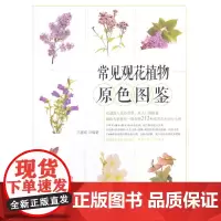 [正版书籍]常见观花植物原色图鉴