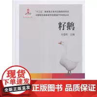 [正版书籍]籽鹅
