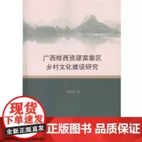 [正版书籍]广西桂西资源富集区乡村文化建设研究