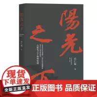 [正版书籍]《阳光之下》(一部难得的“教科书式”的反小说力作!)