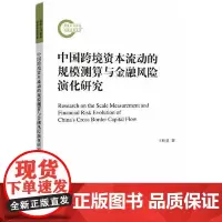 正版 中国跨境资本流动的规模测算与金融风险的演化研究 王桂虎 2021-06出版 上海社会科学院出版社 9787552