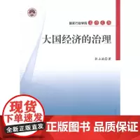 [正版书籍]大国经济的治理
